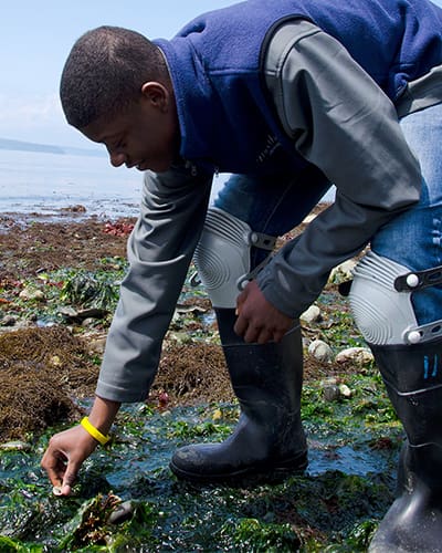 An adult male wearing boots leans over during low tide on a beach to investigate an object or animal on the beach.