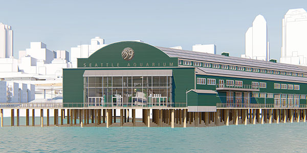 Rendering showing a future remodel of Seattle Aquarium's Pier 59 building.